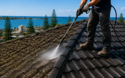 The Complete Guide to Roof Cleaning for Port Macquarie Homeowners
